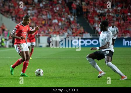 Lissabon, Portugal. 06. September 2022. 06. September 2022. Lissabon, Portugal. Benficas Stürmer aus Brasilien David Neres (7) in Aktion während des Spiels der Runde der Gruppe H 1. für die UEFA Champions League, Benfica gegen Maccabi Haifa Credit: Alexandre de Sousa/Alamy Live News Stockfoto