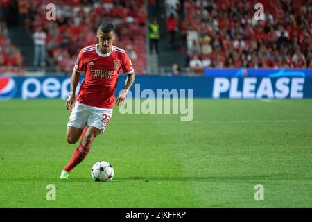 Lissabon, Portugal. 06. September 2022. 06. September 2022. Lissabon, Portugal. Benfica's Mittelfeldspieler aus Portugal Chiquinho (22) in Aktion während des Spiels der Runde der Gruppe H 1. für die UEFA Champions League, Benfica vs Maccabi Haifa Credit: Alexandre de Sousa/Alamy Live News Stockfoto