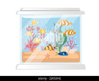 Großes Glasaquarium mit verschiedenen tropischen Fischen Sandkorallen und Muscheln Vektorgrafik auf weißem Hintergrund Stock Vektor