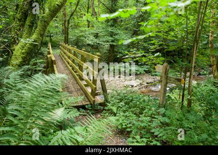 Eine hölzerne Fußgängerbrücke über den Fluss Heddon im Exmoor National Park, North Devon, England. Stockfoto