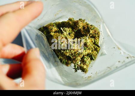 Marihuana - getrocknete Blütenknospen in einem Plastikbeutel. Eine Hand, die den Beutel offen hält. Stockfoto