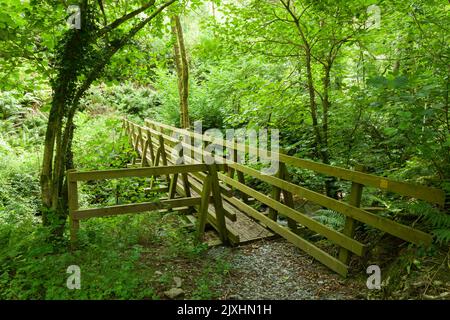 Eine hölzerne Fußgängerbrücke über den Fluss Heddon im Exmoor National Park, North Devon, England. Stockfoto