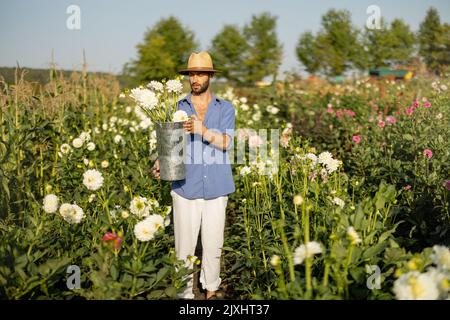 Der Mensch arbeitet auf der Dahlia Farm im Freien Stockfoto