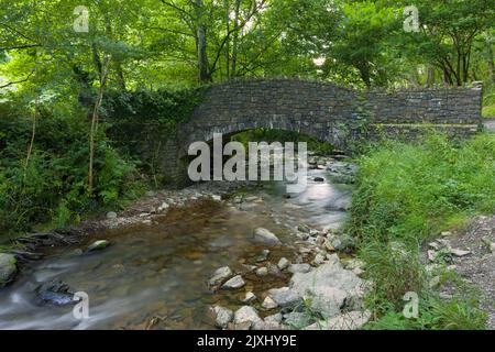 Die Fußgängerbrücke über den Fluss Heddon, die Teil des South West Coast Path im Exmoor National Park, North Devon, England ist. Stockfoto