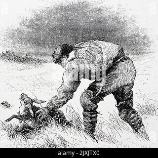 Cartoon zeigt einen Mann Wilderei. Datiert aus dem 19.. Jahrhundert Stockfoto