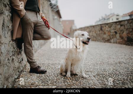 Niedriger Abschnitt von eleganten älteren Mann mit seinem Hund im Freien in der Stadt im Winter. Stockfoto