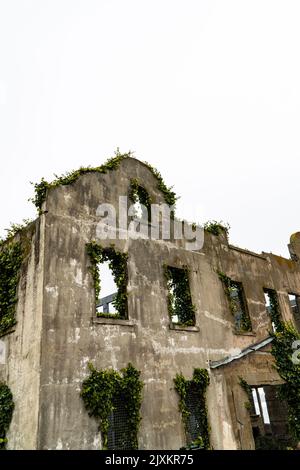 Ein altes, ruiniertes Gebäude mit überwucherten Blättern auf der Insel Alcatraz Stockfoto