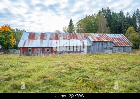 Alte verlassene Holzscheune auf einer Wiese Stockfoto