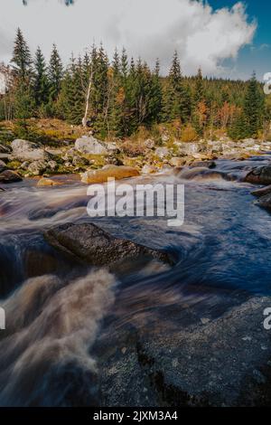 Herbstwald mit einem wilden Fluss. Blick auf den Fluss Jizerka im Herbst. Langzeitbelichtung Foto. Stockfoto