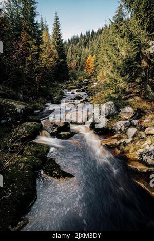 Herbstwald mit einem wilden Fluss. Blick auf den Fluss Jizerka im Herbst. Langzeitbelichtung Foto. Stockfoto