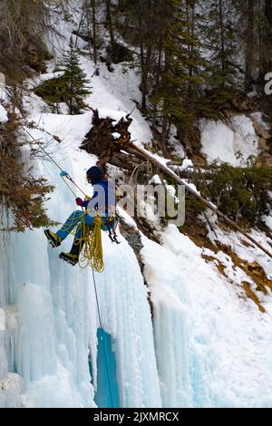 Eine Person, die sich am Johnston Canyon, Banff, auf einem großen gefrorenen Wasserfall mit riesigen Eiszapfen abseilt Stockfoto