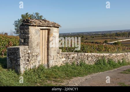 Die Weinberge von Burgund im Herbst Stockfoto