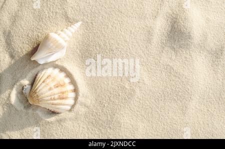 Tropischer Sommerhintergrund mit weißem sauberen Sand, Muscheln am Strand bei sonnigem Sonnenuntergang, Draufsicht Stockfoto