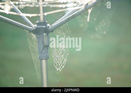 Am frühen Morgen fängt das Sonnenlicht Regentropfen auf einer Wäscheleine auf. Kreativ. Stockfoto