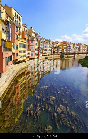 Häuser von bunten Farben am Ufer des Flusses und Reflexion im ruhigen Wasser an einem sonnigen Tag, Girona, Katalonien. Stockfoto