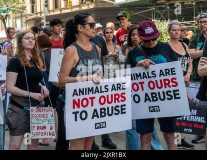 Tierrechtler, von Anti-Kutschpferdeaktivisten bis hin zu Veganern und alle dazwischen, treffen sich am Samstag, dem 27. August 2021, auf dem Flatiron Plaza in New york zum Tierrechtsmarsch. (© Richard B. Levine) Stockfoto