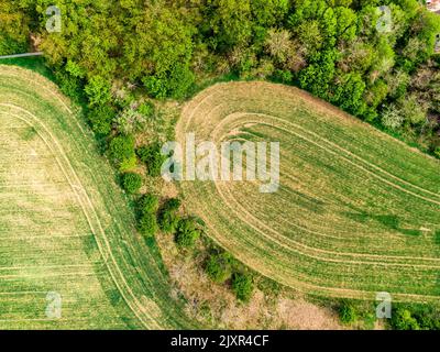 Luftdrohnenaufnahme von Feld, Bäumen und Wald in landwirtschaftlichen Flächen. Top Blick auf Wiese in der Nähe von Dorf und Bauernhof. Schöne grüne frische Ernte am Frühlingstag Stockfoto