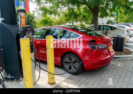 Ein Tesla-Elektrofahrzeug wird am Samstag, den 3. September 2022, an einer öffentlichen Ladestation in Brooklyn in New York geladen. (© Richard B. Levine) Stockfoto