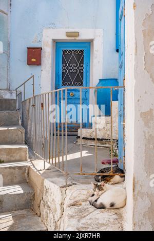 Niedliche streunende Katzen schlafen vor einem typisch griechischen Hauseingang. Schöne kleine Gasse in einer kleinen Stadt. Urlaub destination​​ Griechenland. Stockfoto