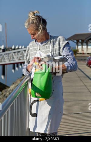 Hochrangiger Freiwilliger, der sich darauf vorbereitet, verlassene Obdachlose, vernachlässigte Hauskatzen „Felis catus“ zu füttern, entlang des Bootshafens, Kalifornien. (MR-465) Stockfoto