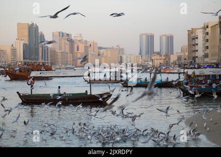 Dubai Creek an einem schönen Tag: Möwen auf dem Wasser und Himmel, Abras (Wassertaxis) und Dhow-Boote auf dem Kanal, Gebäude von Deira in der Ferne. Stockfoto