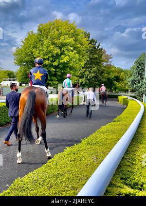 Rennen Im Kempton Park Stockfoto