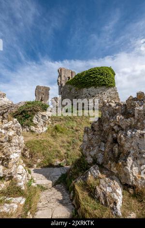 Ruinen von corfe Castle auf der Insel Purbeck in dorset uk, historische corfe Burgruinen, Burgruine, wilhelm der Eroberer, Burgmauer aus dem 11.. Jahrhundert Stockfoto