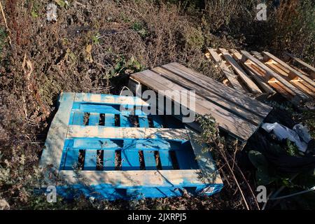 Taplow, Buckinghamshire, Großbritannien. 14.. August 2022. Das Fliegenkippen auf die Landzeilen in Taplow trägt zu einem bereits extremen Brandrisiko während der Dürre bei. Quelle: Maureen McLean/Alamy Stockfoto