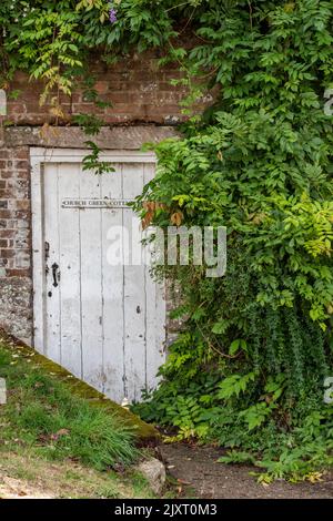 Alte hölzerne Tür teilweise durch überwucherte Gartenbüsche in einem ummauerten Garten auf einem Landhausgrundstück versteckt, Gutshofgartentür aus Holztür. Stockfoto