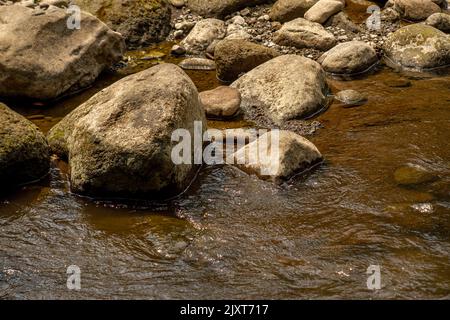 Die vulkanische Gesteinsfläche in einem kleinen Fluss mit einem ruhigen Wasserfluss ist leicht moosig und hat sonniges Wetter Stockfoto