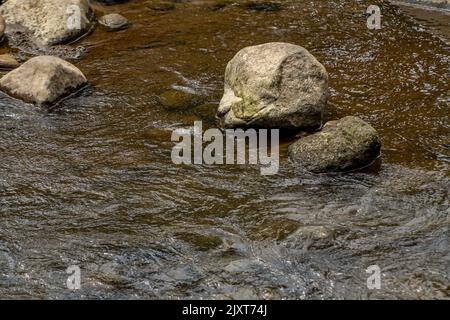 Die vulkanische Gesteinsfläche in einem kleinen Fluss mit einem ruhigen Wasserfluss ist leicht moosig und hat sonniges Wetter Stockfoto