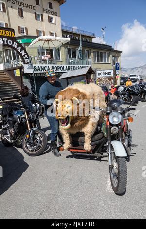 Motorrad mit lebensgroßem Löwen als Seitenwagen auf dem Gipfel des Stilfserjochs, Italien. Stockfoto