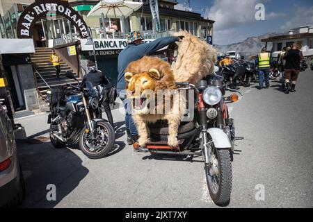 Motorrad mit lebensgroßem Löwen als Seitenwagen auf dem Gipfel des Stilfserjochs, Italien. Stockfoto