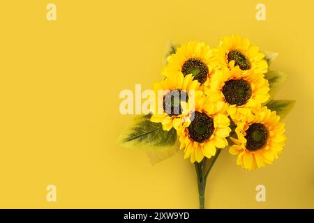 Sonnenblume auf gelbem Hintergrund. Speicherplatz kopieren Stockfoto