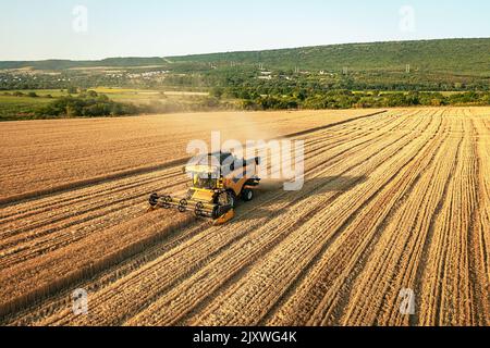 Luftdrohnenansicht: Mähdrescher, die bei Sonnenuntergang im Weizenfeld arbeiten. Stockfoto