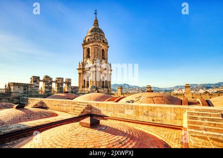 Malaga Kathedrale auf dem Dach bei Sonnenuntergang in Malaga, Andalusien, Spanien Stockfoto