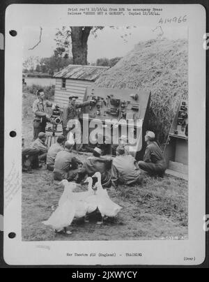 Englische Gänse kommen auf ihre Informationen zu, während eine Gruppe von Bodenbefrachtern der US Army 8. Air Force am Nachbau des elektrischen Systems eines amerikanischen P-51-Kampfflugzeugs, das sich an einem Heuhaufen lehnt, eine Schulausbildung erhält. Die Anleitung Stockfoto