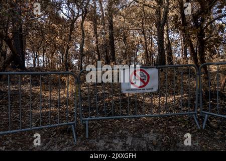 La Teste-de-Buch, Frankreich - 06.08.2022: Warnschild kein Rauch in europa, französischer Waldgefährdungspark Verbotenes Gebiet Sigarette Gefahr. Hochwertige Fotos Stockfoto