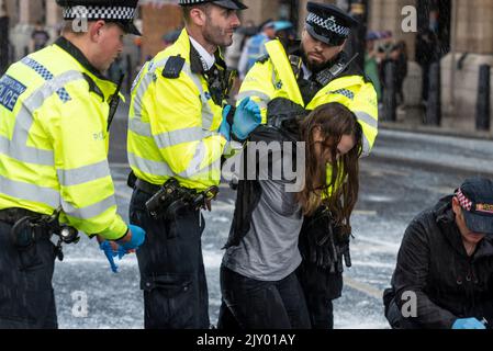 Die Demonstranten des Animal Rebellion sprühten eine Wand des Palace of Westminster mit Farbe und blockierten die Straße draußen, bis sie verhaftet wurden. Weiblich, Mädchen Stockfoto