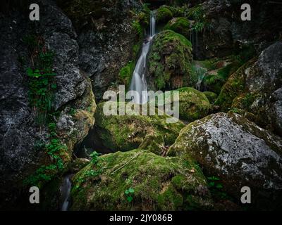 Myrafälle Wasserfälle in Österreich, mit einer kleinen Kaskade, die zwischen moosbedeckten Felsbrocken in einer schattigen Felsschlucht fließt und so eine friedliche natürliche Fores bildet Stockfoto