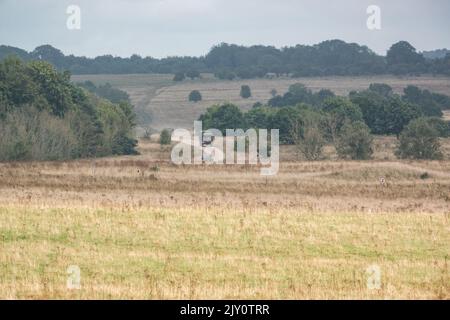 British Army MAN SV HX77 8x8 EPLS Heavy Utility Trucks in Aktion bei einer militärischen Übung Stockfoto