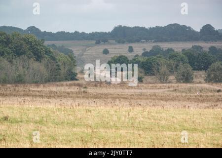 British Army MAN SV HX77 8x8 EPLS Heavy Utility Trucks in Aktion bei einer militärischen Übung Stockfoto
