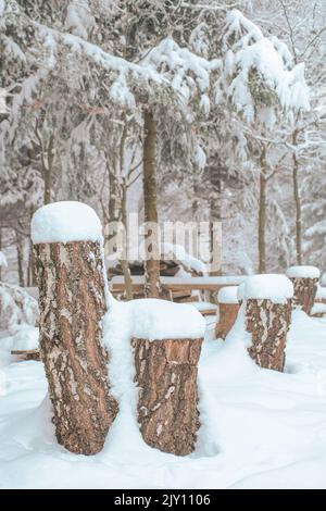 Schneebedeckter Wald. Viel Schnee im Wald. Geschnittene Birken stolpern unter einer Schneedecke. Die Slowakei Berge nach verschneiten Tag. Winterwetter in der Natur. Stockfoto