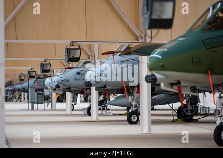 A-10C Thunderbolt IIS, die dem 354. Fighter Squadron zugewiesen wurden, sind auf der Davis-Monthan Air Force Base, Arizona, einsatzfähig. Der Luftwaffenstützpunkt Davis-Monthan entwickelt eine verstärkte Bereitschaft, vom Verteidigungsministerium geleitete Dienstmitglieder zur Unterstützung der NATO und der europäischen Partner einzusetzen und Aggressionen abzuschrecken. (USA Foto der Luftwaffe von Staff Sgt. Kristine Legate) Stockfoto