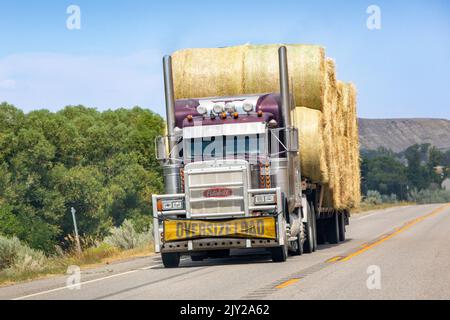 Sattelzugmaschine mit Anhänger, die eine übergroße Ladung runder Heuballen in Carbon County in der Nähe von Belfry, Montana, transportiert Stockfoto