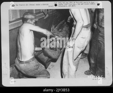 Bevor eine Boeing B-29 mit der 40. Bomb Group, XX Bomber Command, in der Mission 9 nach Ashan, Mandschurei, aufbrechen lässt, haben Crew-Mitglieder Fin an einen ihrer 500 Pfund angehängt. Bomben. Fin Hält Bomb Auf Kurs. China. Stockfoto