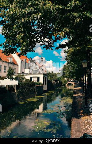 Das historische Zentrum von Amersfoort im Sommer Stockfoto