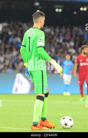 Neapel, Italien. 07. Sep, 2022. Während des UEFA Champions League-Spiels zwischen SSC Napoli und FC Liverpool im Diego Armando Maradona Stadium Credit: Independent Photo Agency/Alamy Live News Stockfoto