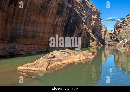 Süßwasser-Krokodil in der Cobbold Gorge Stockfoto