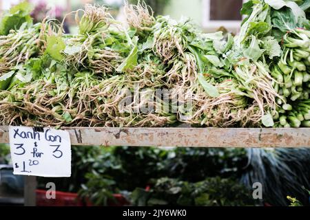 Grünes chinesisches Gemüse zum Verkauf in einem vietnamesischen Lebensmittelgeschäft in Cabramatta – Sydney, Australien Stockfoto